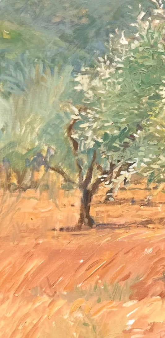 Olivo, chispas de plata al cielo.