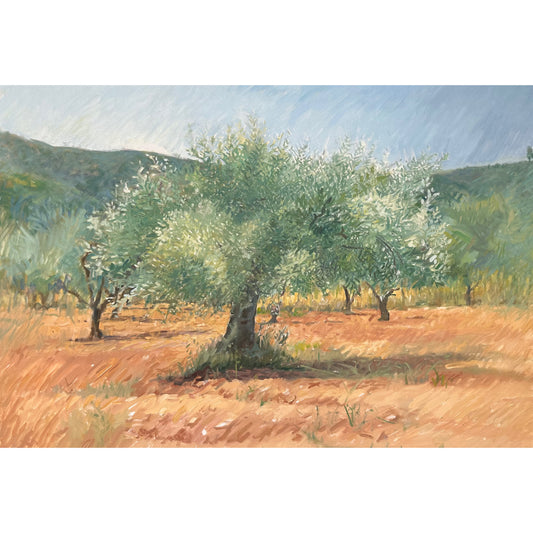 Olivo, chispas de plata al cielo.